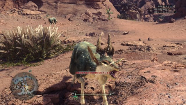 キレアジの上ヒレ ケルビの角 入手方法