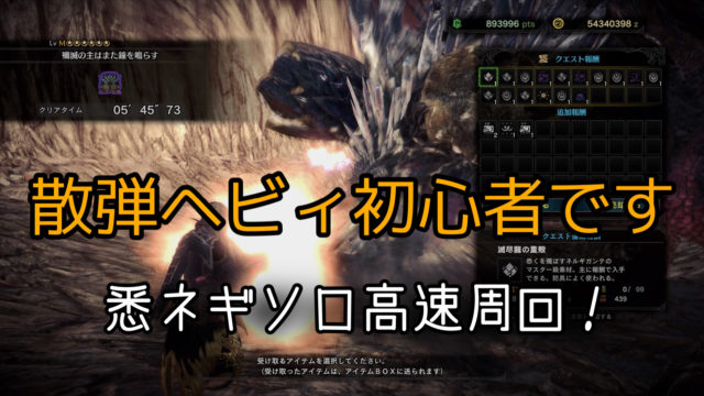 殲滅の主はまた鐘を鳴らすを散弾ヘビィ装備が高速周回で対策いらず